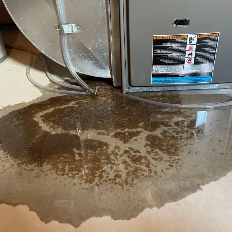 Pipe Burst and Leak Restoration in North Druid Hills, GA